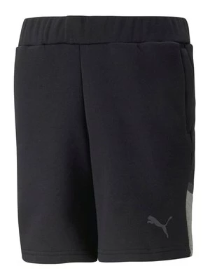 Obrázek produktu Šortky Puma černá