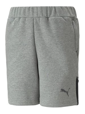 Obrázek produktu Šortky Puma