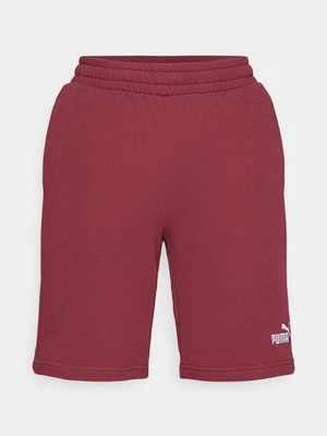 Obrázek produktu Šortky Puma