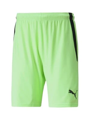 Obrázek produktu Šortky Puma zelená
