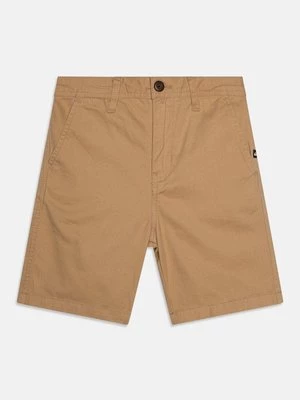Obrázek produktu Šortky Quiksilver