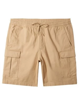 Obrázek produktu Šortky Quiksilver