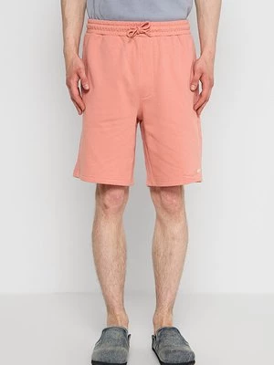 Obrázek produktu Šortky Quiksilver