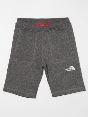 Obrázek produktu Šortky The North Face