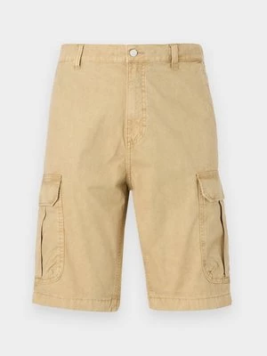 Obrázek produktu Šortky Tommy Jeans