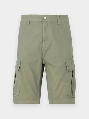 Obrázek produktu Šortky Tommy Jeans