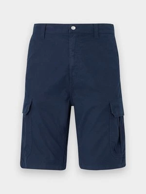 Obrázek produktu Šortky Tommy Jeans