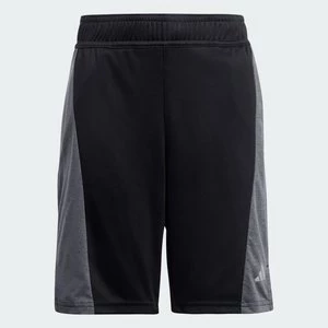 Obrázek produktu Šortky Training AEROREADY Heather Kids Adidas