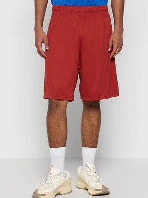 Obrázek produktu Šortky Under Armour