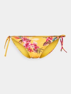Obrázek produktu Spodní díl bikin Hunkemöller