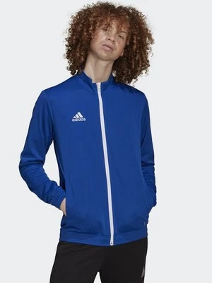Obrázek produktu Sportovní bunda adidas performance
