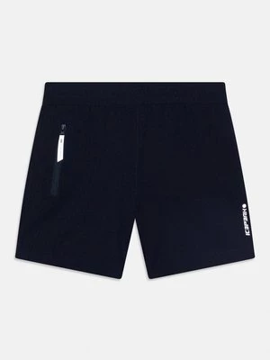 Obrázek produktu Sportovní kraťasy icepeak