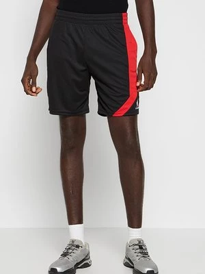 Obrázek produktu Sportovní kraťasy Le Coq Sportif