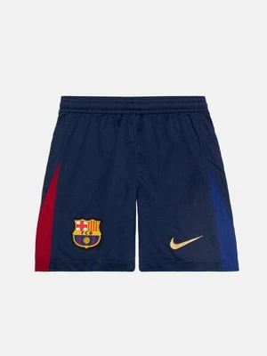 Obrázek produktu Sportovní kraťasy Nike Performance