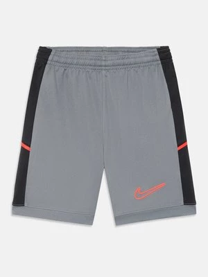 Obrázek produktu Sportovní kraťasy Nike Performance