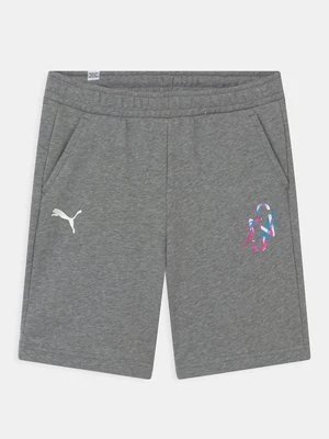 Obrázek produktu Sportovní kraťasy Puma