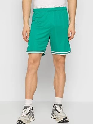 Obrázek produktu Sportovní kraťasy Puma