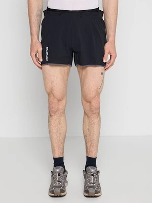 Obrázek produktu Sportovní kraťasy Salomon