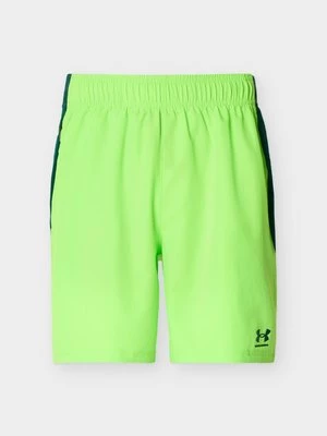 Obrázek produktu Sportovní kraťasy Under Armour zelená