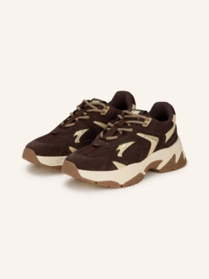 Obrázek produktu Steve Madden Tenisky Ample tmavě hnědá / světle hnědá
