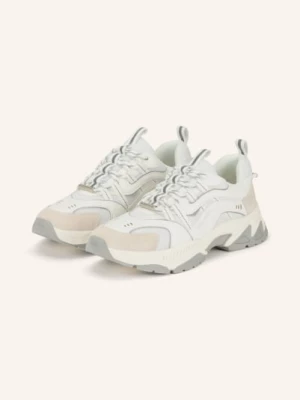 Obrázek produktu Steve Madden Tenisky Animates-E bílá / světle šedá