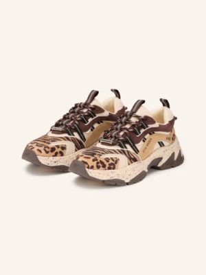 Obrázek produktu Steve Madden Tenisky Animates hnědá / krémová / černá