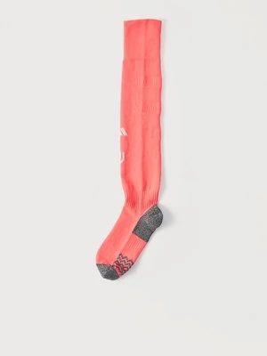 Obrázek produktu Štulpny adidas performance