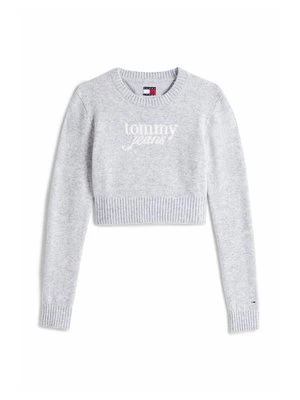 Obrázek produktu Svetr Tommy Jeans