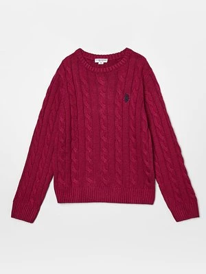 Obrázek produktu Svetr U.S. Polo Assn.
