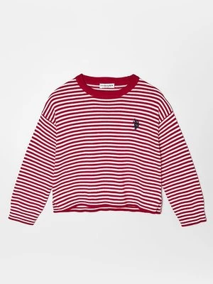 Obrázek produktu Svetr U.S. Polo Assn.