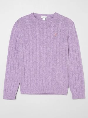 Obrázek produktu Svetr U.S. Polo Assn.