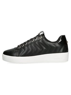 Obrázek produktu Tenisky Carvela