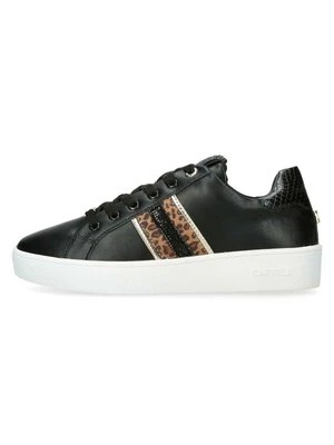 Obrázek produktu Tenisky Carvela