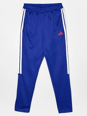 Obrázek produktu Teplákové kalhoty adidas Originals