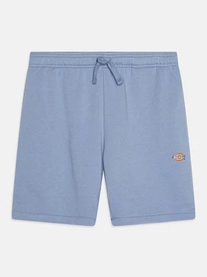 Obrázek produktu Teplákové kalhoty Dickies