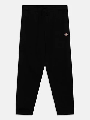 Obrázek produktu Teplákové kalhoty Dickies