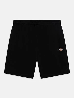 Obrázek produktu Teplákové kalhoty Dickies