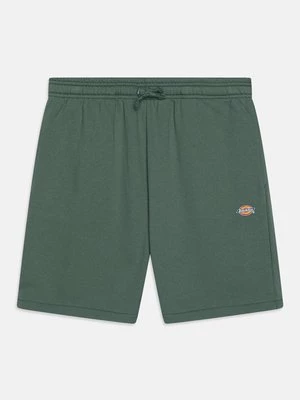 Obrázek produktu Teplákové kalhoty Dickies
