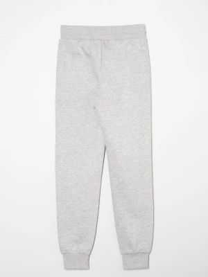 Obrázek produktu Teplákové kalhoty Ellesse
