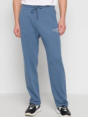 Obrázek produktu Teplákové kalhoty Hollister Co. modrá