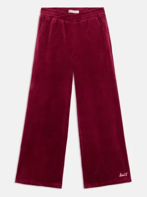 Obrázek produktu Teplákové kalhoty Levi's tmavě červená
