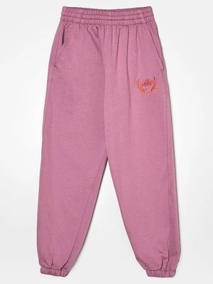 Obrázek produktu Teplákové kalhoty Nike fialová