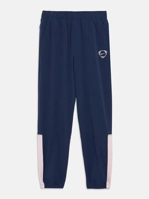 Obrázek produktu Teplákové kalhoty Nike Performance