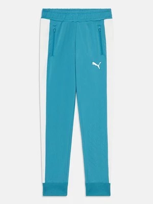 Obrázek produktu Teplákové kalhoty Puma