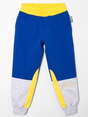 Obrázek produktu Teplákové kalhoty Roberto Cavalli Junior