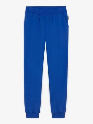 Obrázek produktu Teplákové kalhoty Roberto Cavalli Junior