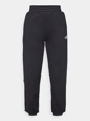 Obrázek produktu Teplákové kalhoty The North Face