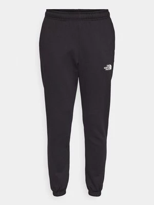 Obrázek produktu Teplákové kalhoty The North Face