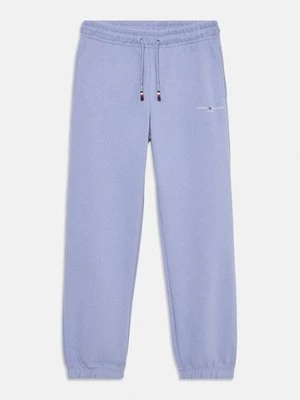 Obrázek produktu Teplákové kalhoty Tommy Hilfiger