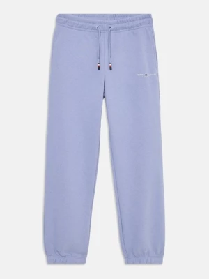 Obrázek produktu Teplákové kalhoty Tommy Hilfiger